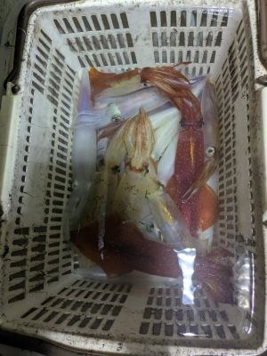 image0.jpeg