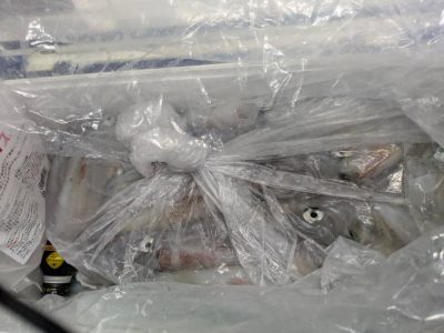 image4_2.jpeg