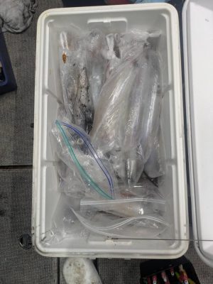 image4_5.jpeg