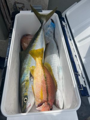 image4_3.jpeg