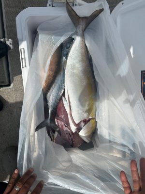 image5_3.jpeg