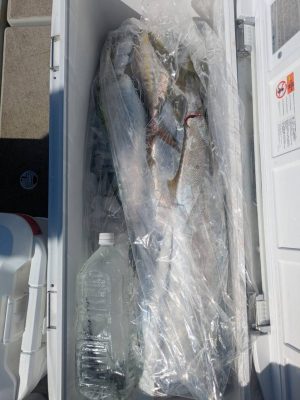 image6.jpeg
