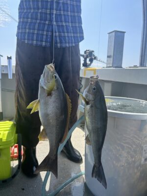 image0_5.jpeg
