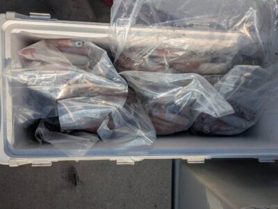 image8.jpeg