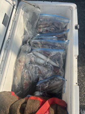 image13.jpeg