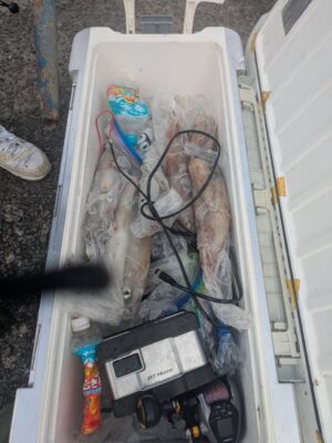 image1_5.jpeg