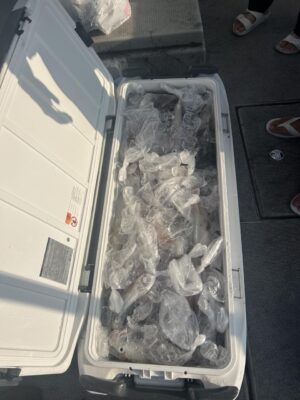 image7.jpeg