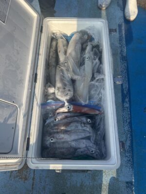 image8.jpeg