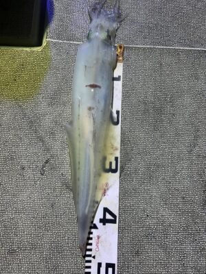 image4.jpeg