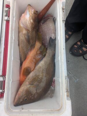 image7.jpeg