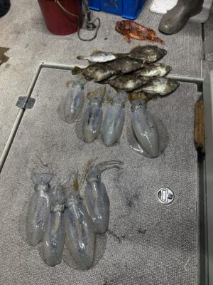 image6.jpeg